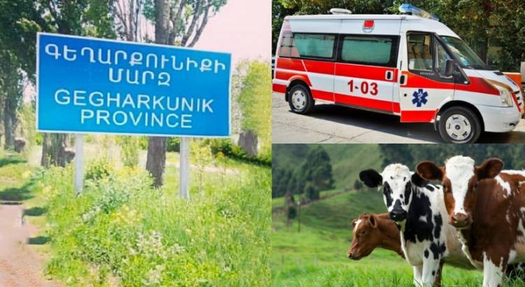 Քանի՞ մարդու մոտ է Գեղարքունիքում բրուցելոզ հայտնաբերվել