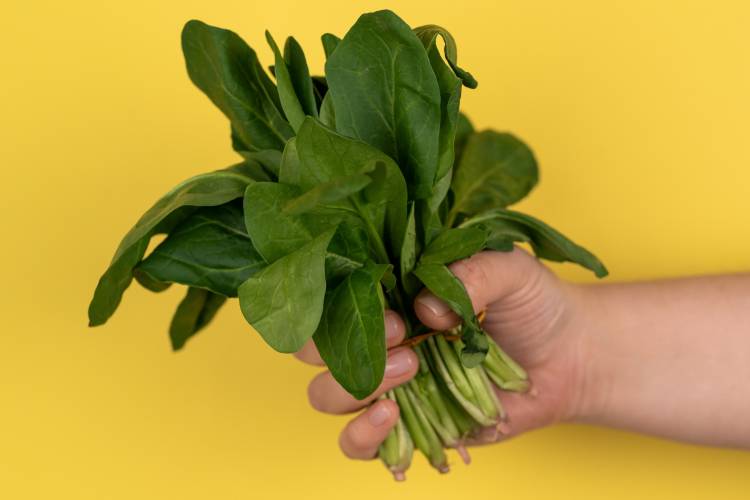 Blog Image