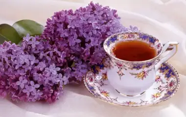 blog image