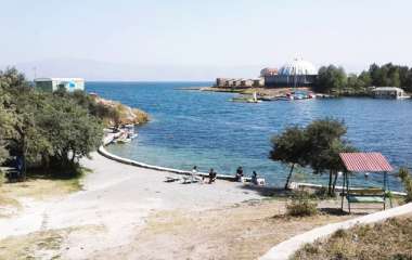 blog image