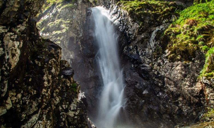 Blog Image