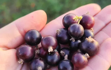 blog image