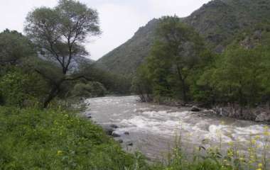 blog image