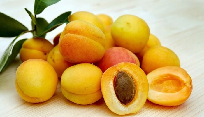 Blog Image