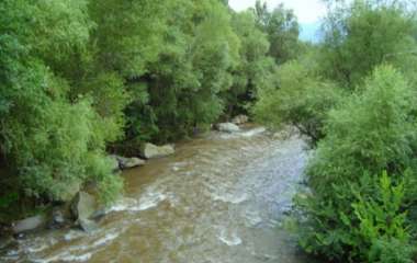 blog image