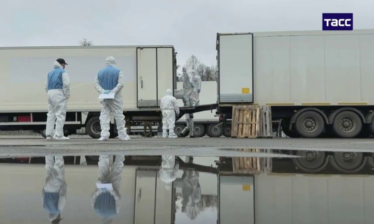 Ռուսաստանն ու Ուկրաինան իրականացրել են զոհվածների հերթական փախանակումը