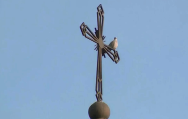 blog image