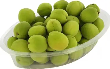 blog image
