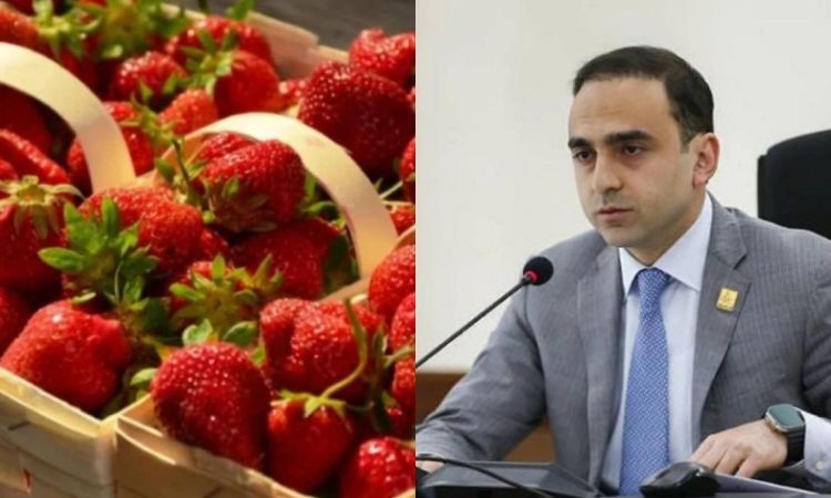 Ելակն արտահանում են թուրքականի անվան տակ. «Հրապարակ»