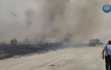 blog image