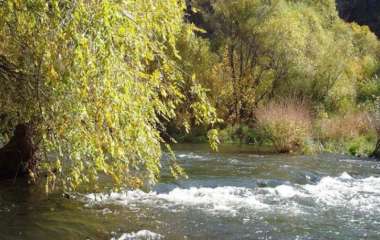 blog image