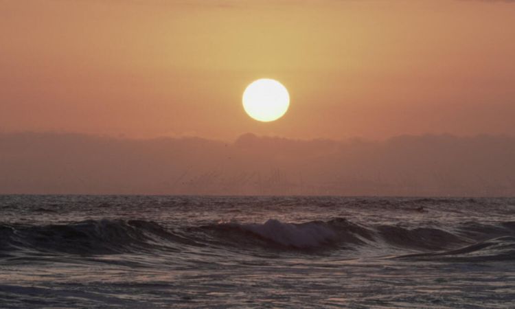 Blog Image