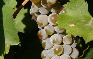 blog image
