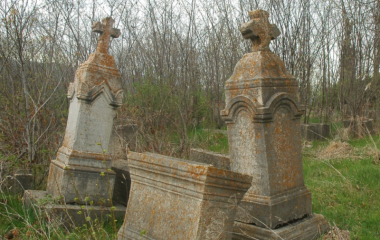blog image