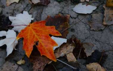 blog image