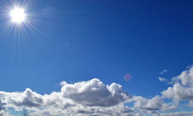 Blog Image