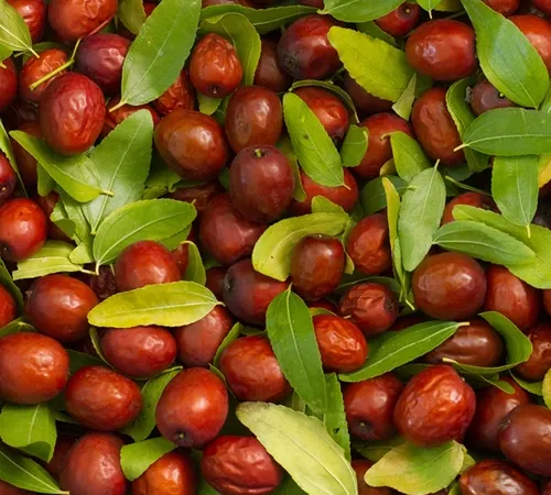 Blog Image
