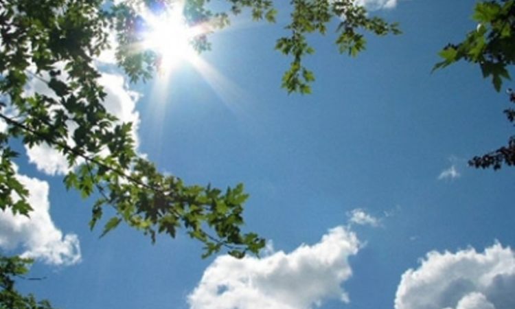 Blog Image
